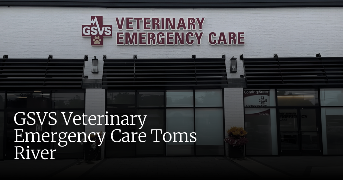 Emergency Veterinary Care | GSVS, Toms River