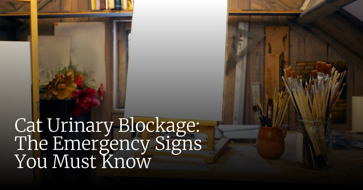 Cat Urinary Blockage: Vital Signs & Urgent Treatment Steps
