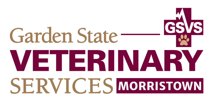 GSVS Veterinary Emergency Services, Morristown logo