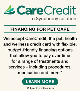 Care Credit Pet Care Financing