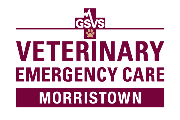 GSVS Veterinary Emergency Care MORRISTOWN Logo