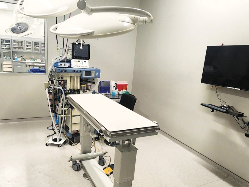 GSVS Surgical Suite