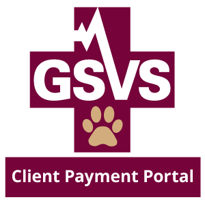 GSVS Client Payment Portal